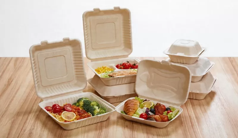 Molded Fiber Clamshells (2).jpg