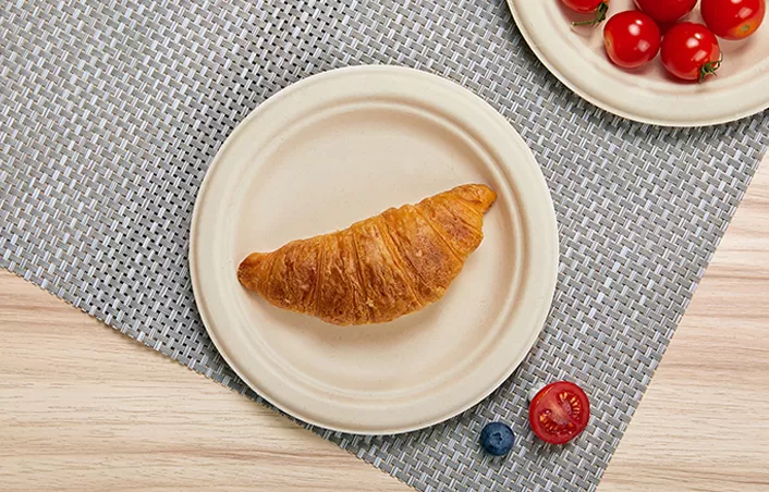 Molded Fiber Plates: Superior Moldability Enabling Innovative and Functional Packaging Designs