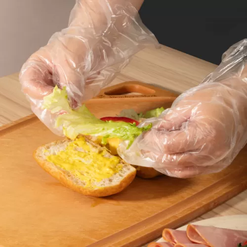 Disposable Gloves