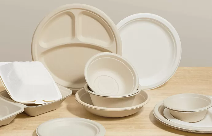 Eco-Friendly Bagasse Tableware Transforms Disposable Food Packaging
