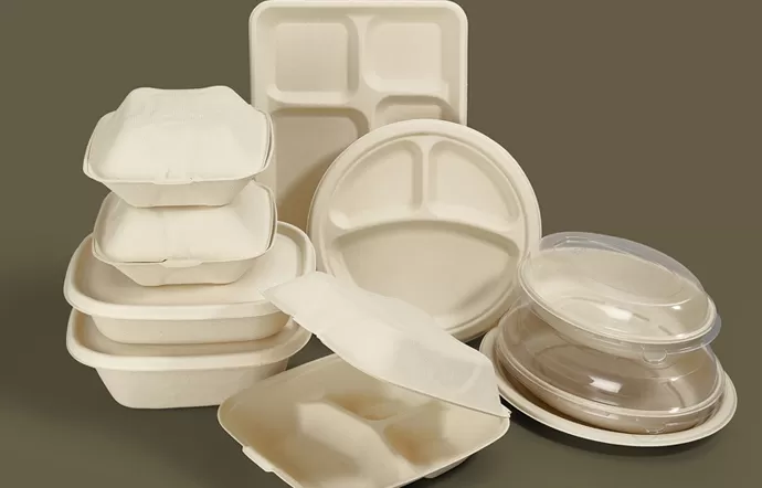 Why Are Molded Fiber Clamshells Becoming a Preferred Takeout Option?