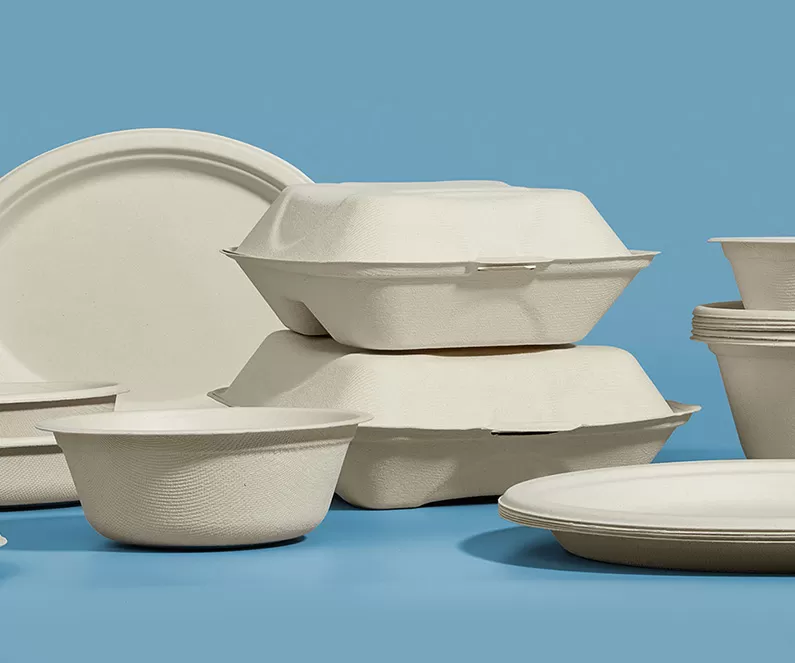 How Do Molded Fiber Plates Hold up Against Hot and Greasy Foods?