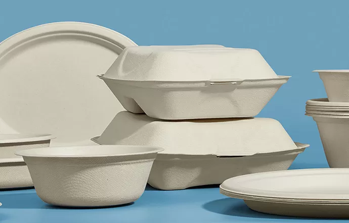 How Do Molded Fiber Plates Hold up Against Hot and Greasy Foods?
