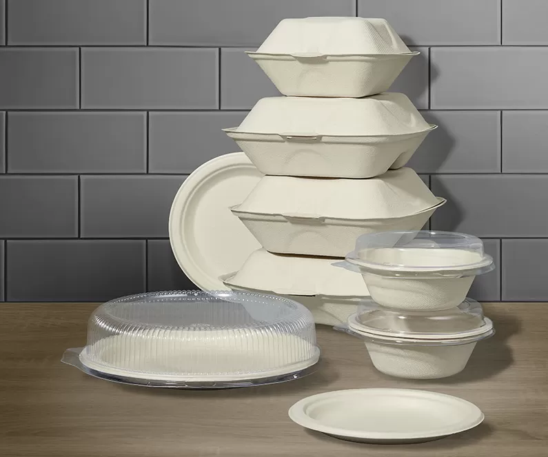 How Does Molded Fiber Tableware Compare to Plastic and Paper Alternatives?