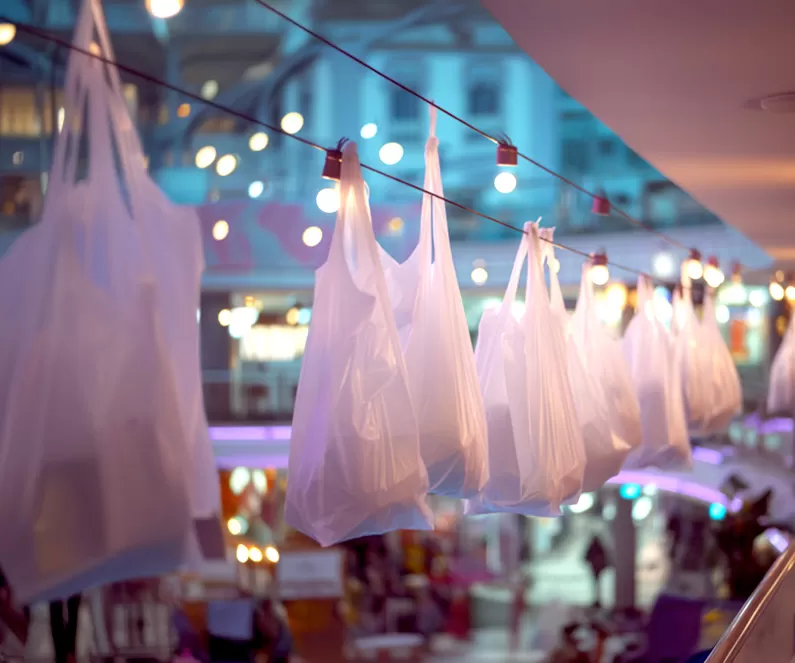 Are Compostable Bags a Viable Alternative to Plastic T-Shirt Bags?