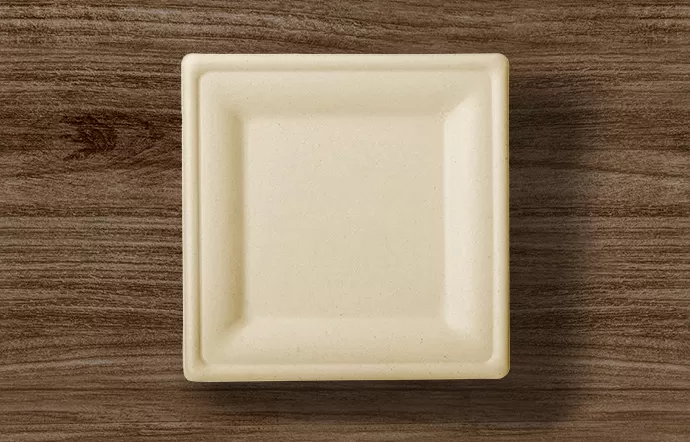 How Do Square Plates Enhance Food Presentation Compared to Round Plates?