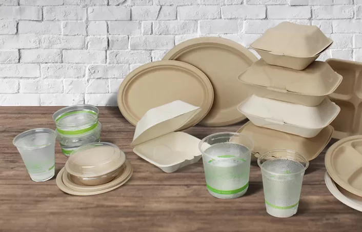 Understanding the Basics of Disposable Food Packaging Materials