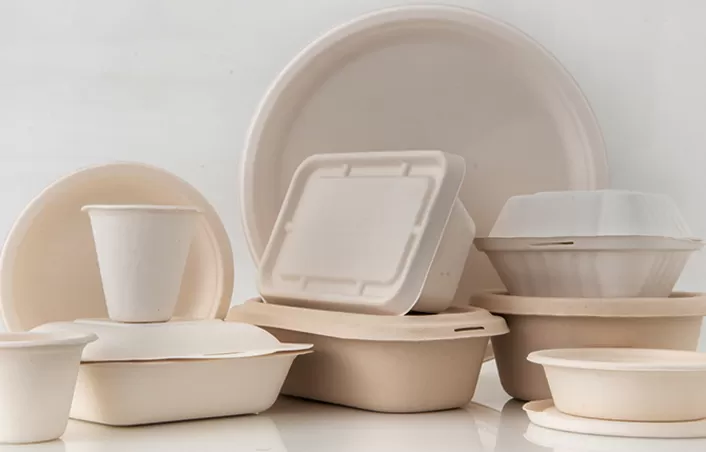 What Are Compostable Takeout Containers Made Of?